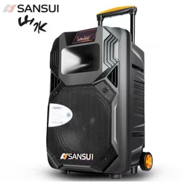 山水（SANSUI）SS1广场舞音响拉杆音响户外大功率K歌网红直播移动无线便携式蓝牙音箱低音炮家用扩音播放器双话筒 SS1-15【双无线话筒】